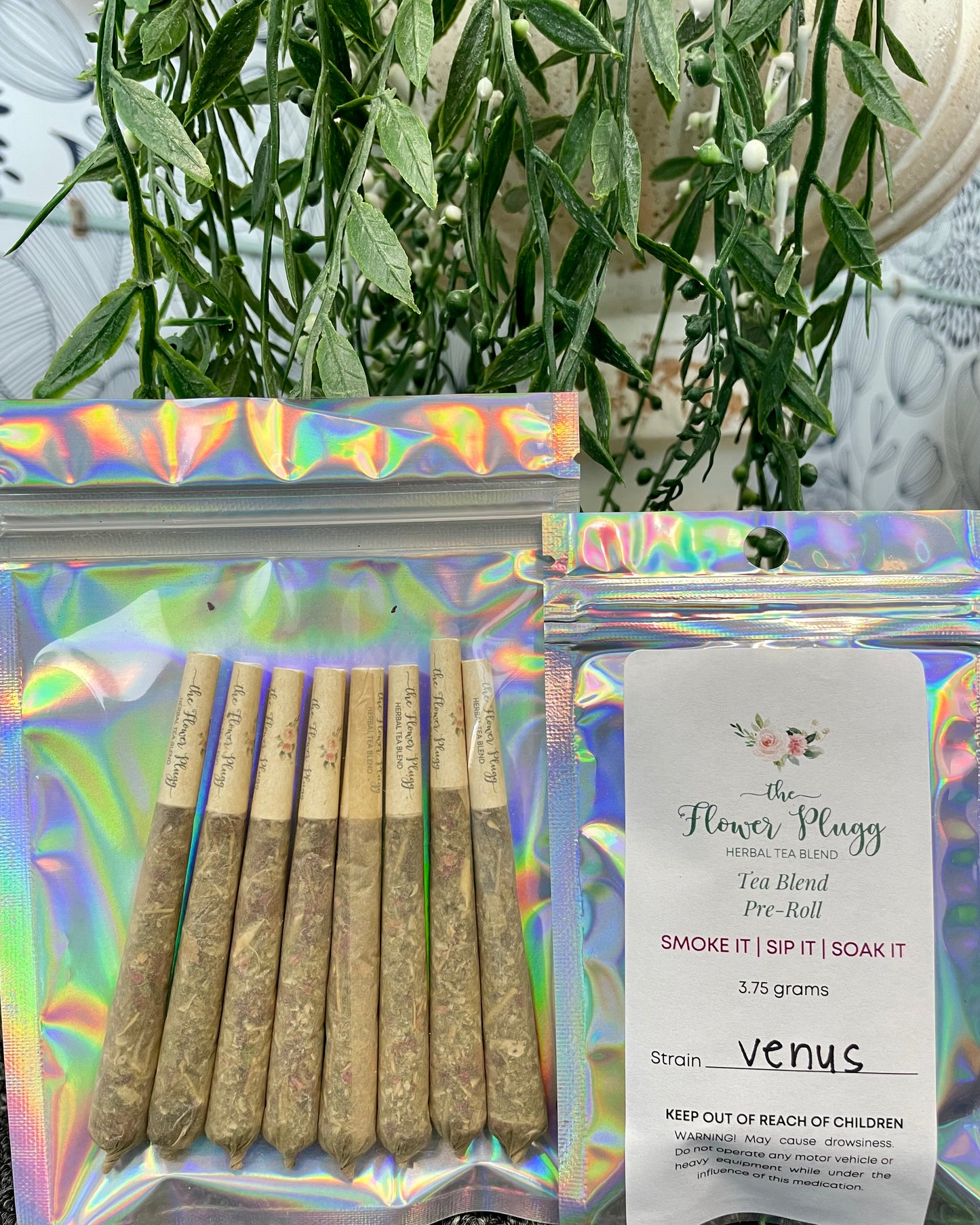 Venus Pre-Rolls *SEASONAL*